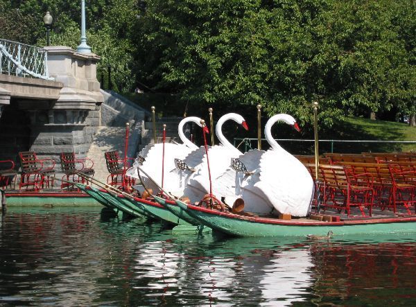 swan-boats-boston