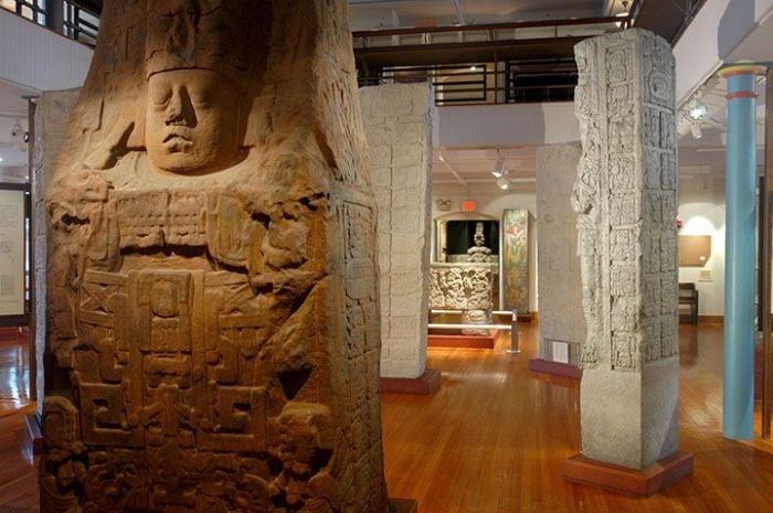 Peabody museum things to do near Harvard