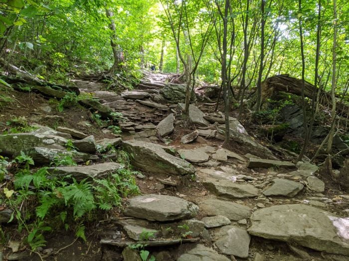 Hiking Wachusett Mountain