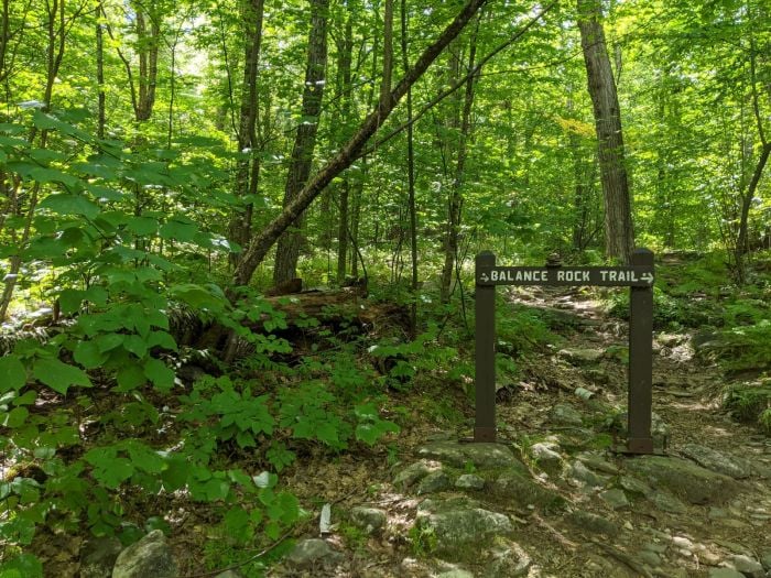 Hiking Wachusett Mountain