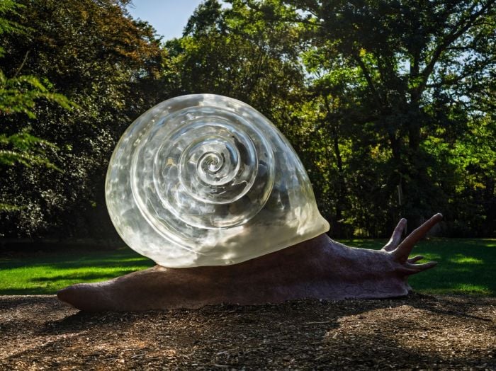 A Snail's Pace at deCordova Museum