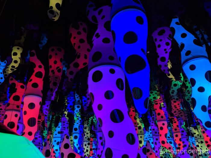 Pérez Art Museum Miami Presents Yayoi Kusama's LOVE IS CALLING