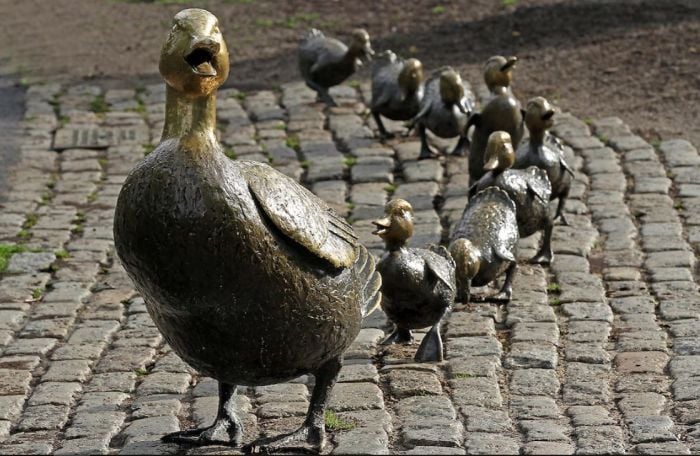 Boston Duckling Statues