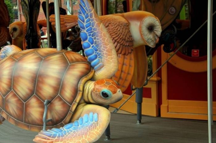 boston-greenway-carousel-turtle