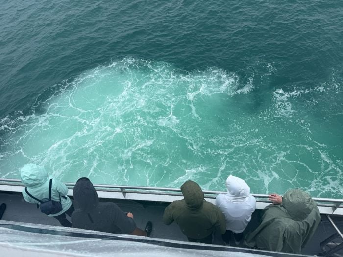 Boston Harbor Cruise Whale Watch | Photoplankton Being Stirred Up