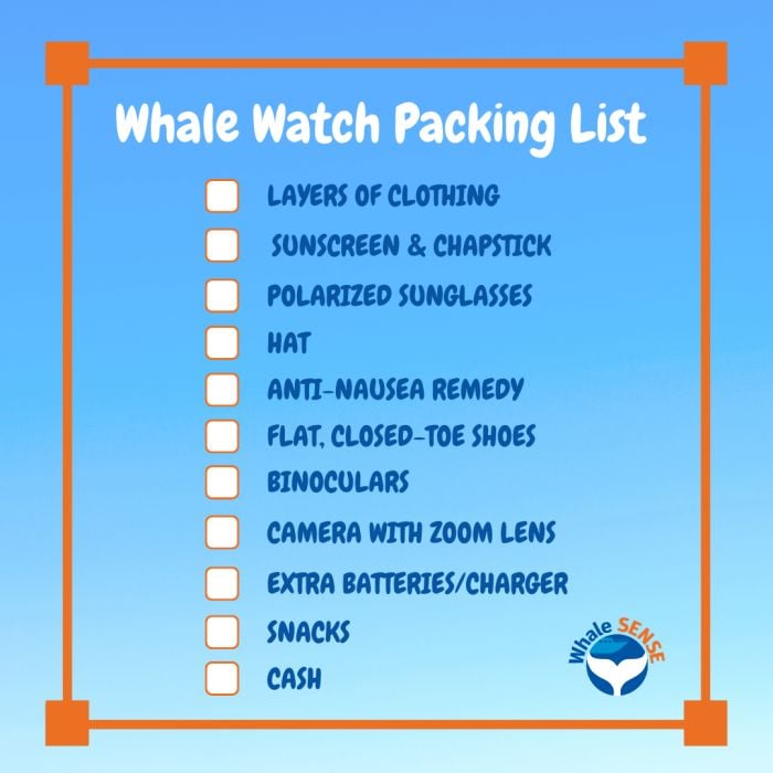 Boston Harbor Cruise | What to Bring | What to Wear