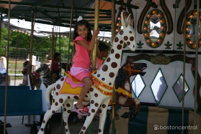 Boston Zoo Carousel Child