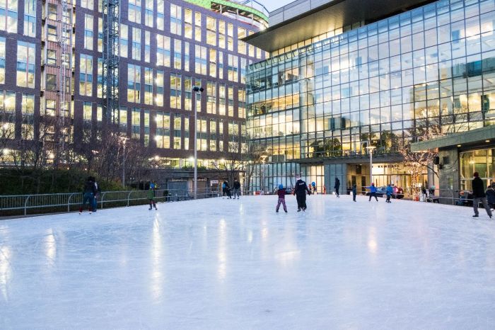 14 Best Places to Go Ice Skating in Boston: Rinks Open to the Public