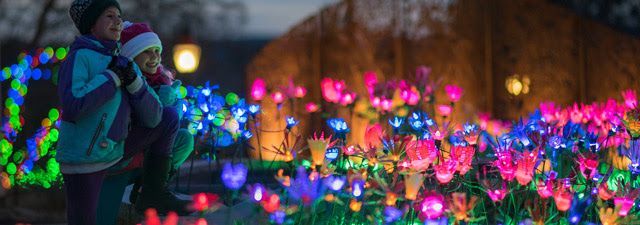 Night Lights at Tower Hill New England Botanical Garden