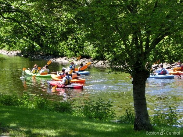 kayaking boston near BU