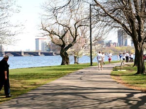 The Charles River Esplanade (Tips, Reviews, Local Guide)